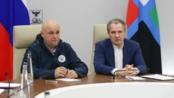 Вячеслав Гладков рассказал об итогах встречи с министром энергетики РФ 