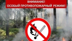Особый противопожарный режим продлён в лесах Красногвардейского района