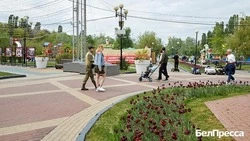 Жители Белгородской области отдали предпочтение трезвому образу жизни