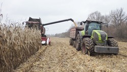 С наступлением благоприятной погоды красногвардейские аграрии продолжили уборку кукурузы 