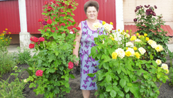 Жительница Бирюча Надежда Дрыганова: «Нравятся мне цветы, не могу ими нарадоваться»