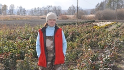 Ольга Ковтун из красногвардейского села Бабкино создала розарий из трёх тысяч кустов