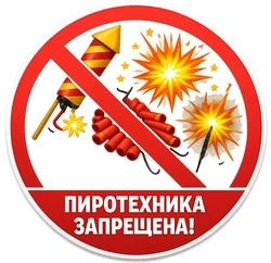 Сотрудники ОМВД по Красногвардейскому району: «Использование пиротехники приведёт к штрафу»