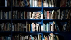 Красногвардейский архив ускорит выдачу гражданам документов 