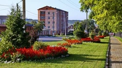 Новые цветочные арки и пирамиды появились в Бирюче