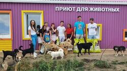 Сотрудники белгородского Росреестра присоединились к акции «Месяц добрых дел»