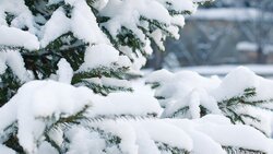 Сильные снегопады ожидаются в Красногвардейском районе 13 января