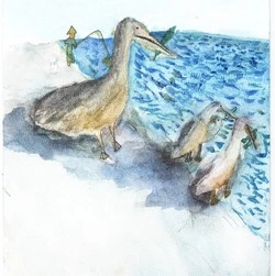 Кристиан Гимаев из Красногвардейского района передал в редакцию рисунок с пеликанами