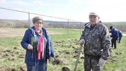 Аллея памяти появилась в Красногвардейском районе