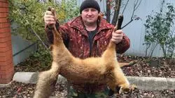 560 жителей Красногвардейского района получили разрешение на охоту