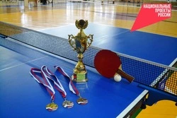 Реализация проекта по развитию настольного тенниса завершилась в Красногвардейском округе