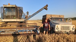 Специалист управления АПК Красногвардейского района – о поддержке сельхозпроизводителей