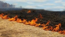 Специалисты Росреестра напомнили красногвардейцам о запрете пала сухой травы