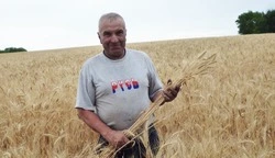 Труженики красногвардейского СПК «Большевик» удостоены заслуженных наград