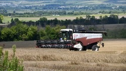 Красногвардейское предприятие «Самаринское» завершило уборку ранних зерновых культур