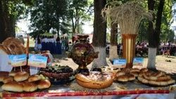 Проект жителей красногвардейского села победил в конкурсном отборе областного минкульта