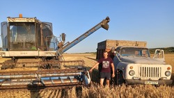 Фермер Дмитрий Брежнев из Красногвардейского района: «Я люблю свою землю»