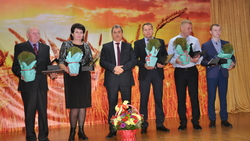 Урожайность подсолнечника на агрокомбинате «Бирюченский» составила 38 ц/га