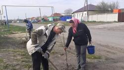 Жители красногвардейского села Ливенка реализовали проект по благоустройству улицы Ленина
