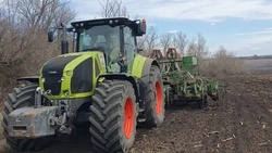 Набирает озимь силу. Труженики красногвардейского «Большевика» рассказали о вешних работах