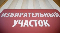 Вячеслав Гладков высоко оценил организованность выборов