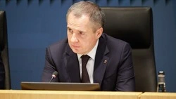 Политолог Анна Федорова высказалась о пятилетней работе Вячеслава Гладкова 