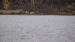 Отдел госконтроля и охраны водных биоресурсов по Белгородской области: «Внимание нерест!»