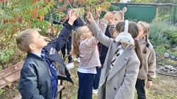 Педагог красногвардейской Станции юннатов: «Золотые дни осени!»