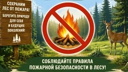 Директор Красногвардейского лесничества Сергей Соловьёв: «Дополнительные требования»