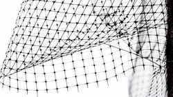 Вячеслав Гладков рассказал о результатах установки антидроновой сетки