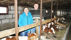 В трудах и заботах. Владимир Сотников рассказал о фермерском хозяйстве