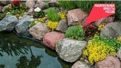 Родник благоустроят  в красногвардейском селе Остроухово в 2026 году