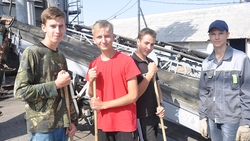 Жаркое лето. Школьники и студенты Красногвардейского района получили первый трудовой опыт