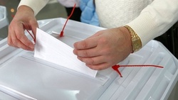 Красногвардейский избирательный округ получил бюллетени для довыборов