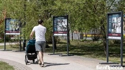 В Белгородской области стартовала реализация проектов – победителей Всероссийского конкурса