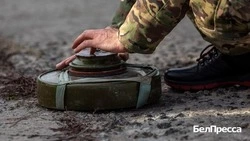 Вячеслав Гладков – о работе бойцов «БАРСа-Белгород» и «Орлана» после завершения СВО