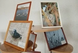 Педагог Красногвардейской станции юннатов рассказала о перелётных птицах средней полосы